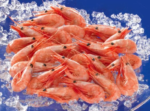 FFAW wins Higher Summer Shrimp Price as Panel Sets $1.25 per Lb. as Benchmark